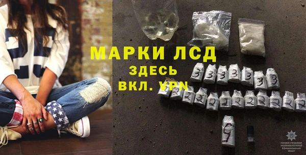 гашик Осташков